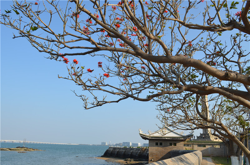 1553677267111315.jpg DSC_0450.jpg