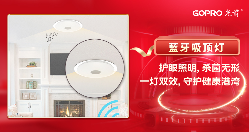 1718328636445202.jpg À¶ÑÀÎü¶¥µÆ.jpg